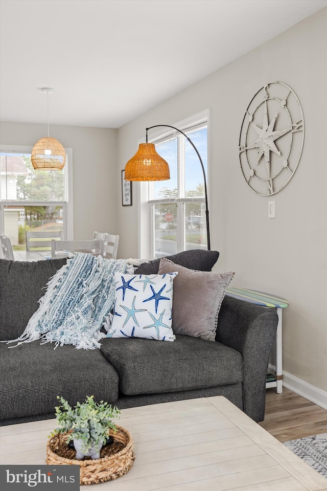 living area featuring baseboards and wood finished floors