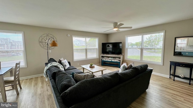 living room with a wealth of natural light, ceiling fan, and light hardwood / wood-style floors