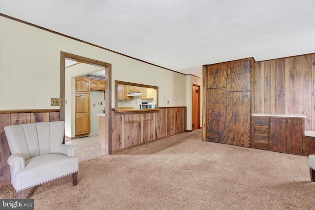 living area featuring wood walls and light colored carpet