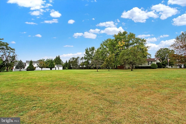 view of yard