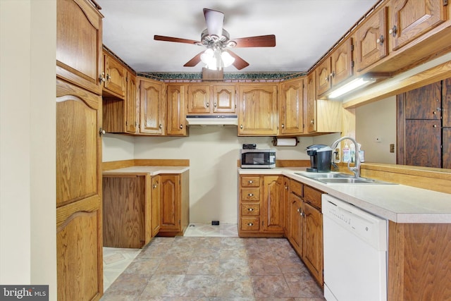 kitchen featuring dishwasher, ceiling fan, and sink