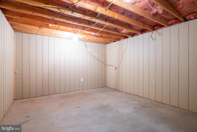 basement with wooden walls