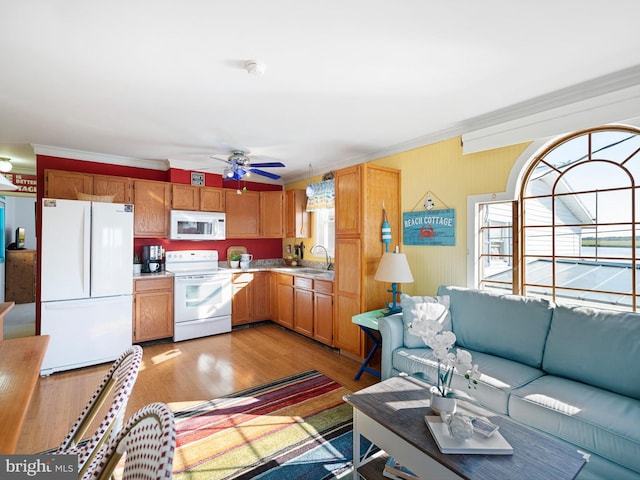 interior space with light wood-type flooring, ceiling fan, ornamental molding, and sink