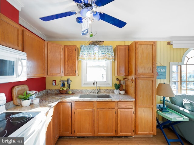 kitchen featuring white appliances, crown molding, sink, ceiling fan, and light wood-type flooring