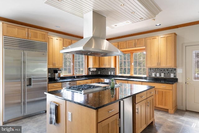 kitchen featuring island range hood, a kitchen island, a healthy amount of sunlight, and appliances with stainless steel finishes