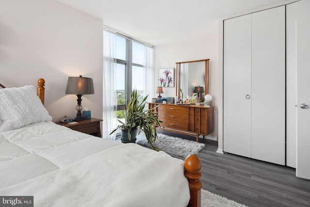 bedroom with dark wood-type flooring, a wall of windows, and a closet