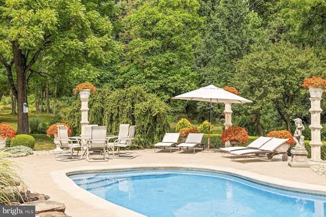 view of swimming pool featuring a patio