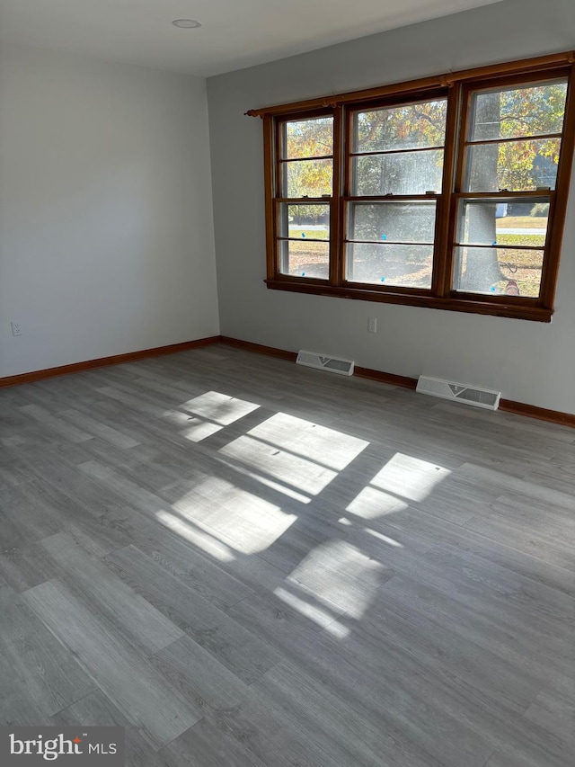 empty room featuring light hardwood / wood-style floors and a wealth of natural light