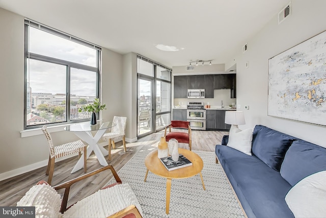 living room with light wood-type flooring, a healthy amount of sunlight, and sink