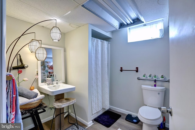 bathroom featuring hardwood / wood-style floors, sink, a drop ceiling, a shower with shower curtain, and toilet