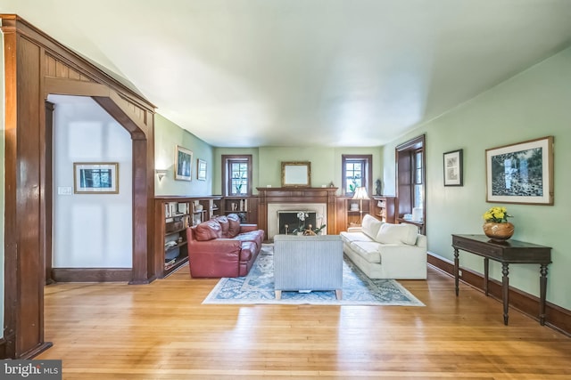 living room featuring wood-type flooring