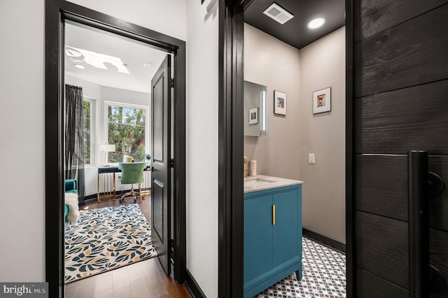 bathroom featuring wood-type flooring and vanity