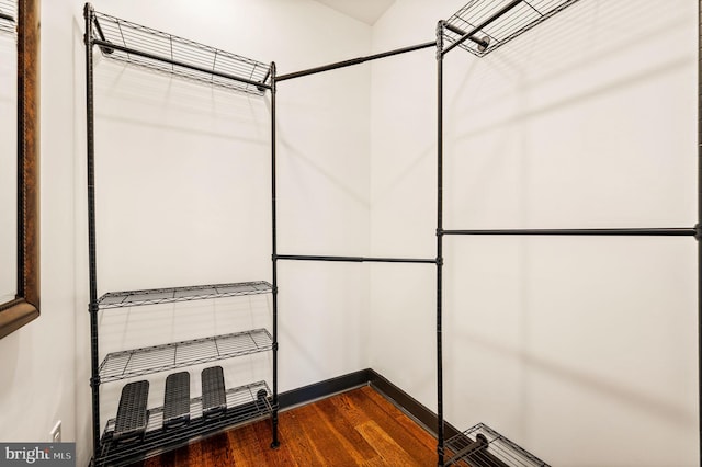 spacious closet featuring dark hardwood / wood-style flooring