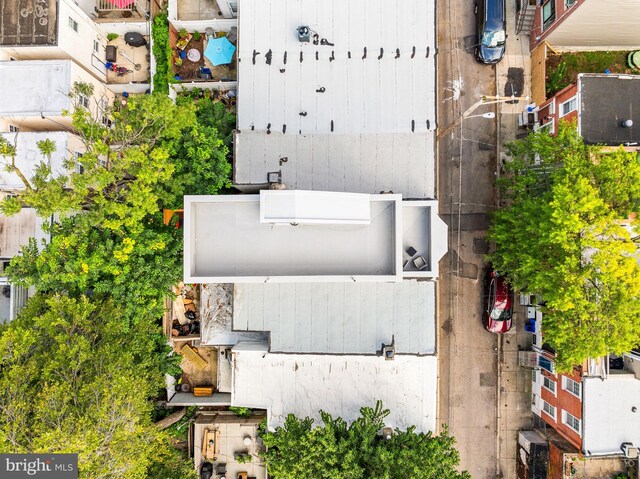 bird's eye view