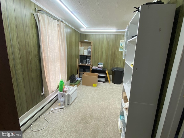 walk in closet featuring carpet floors