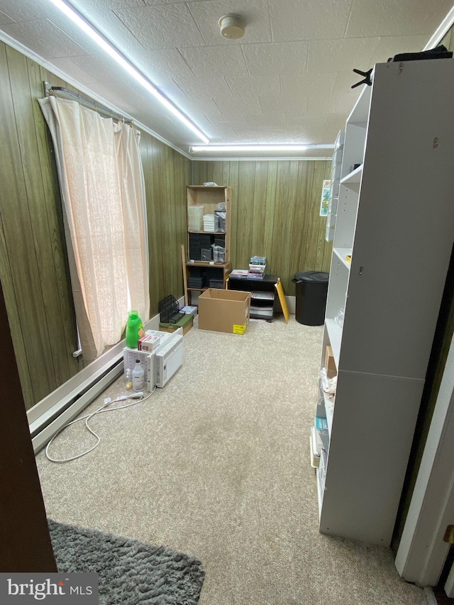 interior space featuring wood walls and baseboard heating