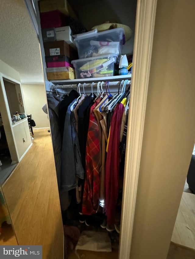 view of closet