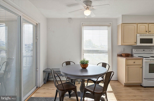 dining area featuring ceiling fan, plenty of natural light, light hardwood / wood-style floors, and a textured ceiling