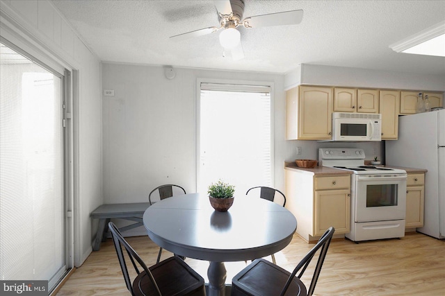 kitchen featuring light wood-type flooring, a textured ceiling, white appliances, ceiling fan, and light brown cabinetry