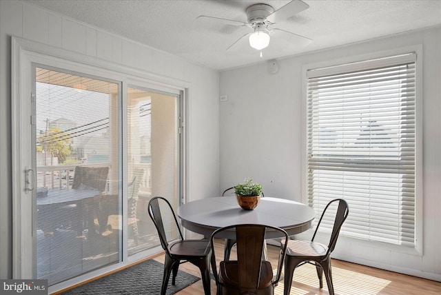 dining space featuring ceiling fan, a textured ceiling, and light hardwood / wood-style floors