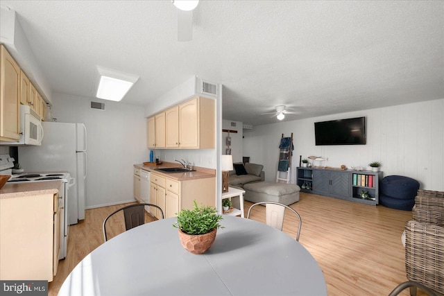 dining area featuring sink, ceiling fan, a textured ceiling, and light wood-type flooring