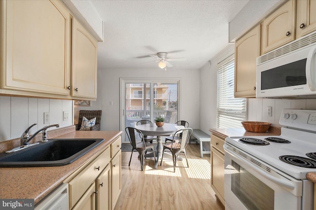 kitchen with ceiling fan, light hardwood / wood-style floors, sink, a textured ceiling, and white appliances