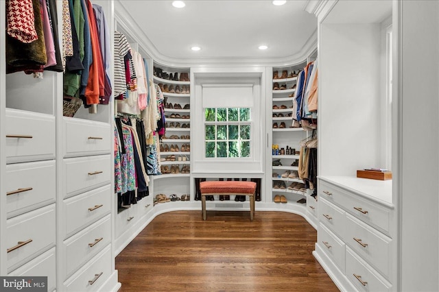 walk in closet with dark wood-style flooring