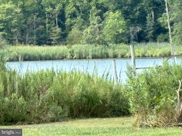 property view of water with a wooded view