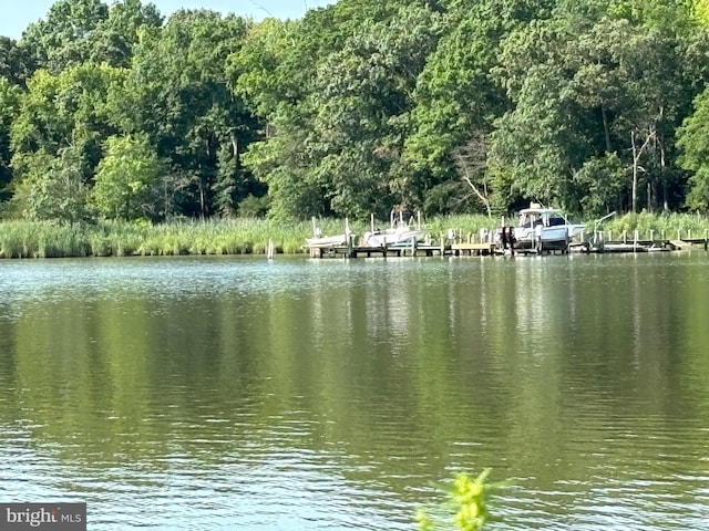 water view featuring a forest view and a boat dock