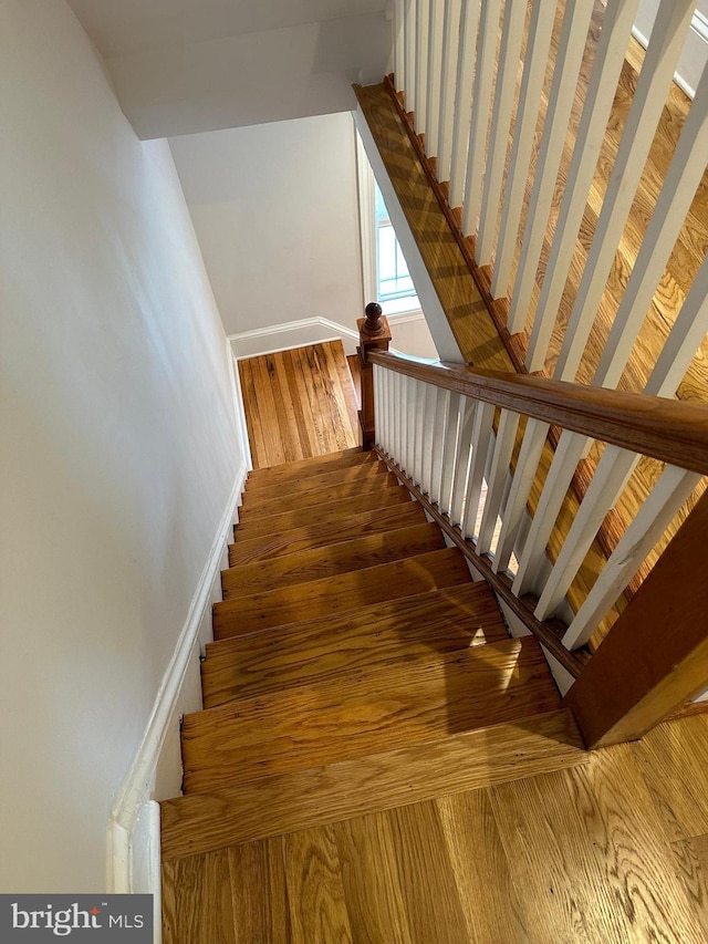 staircase featuring wood finished floors