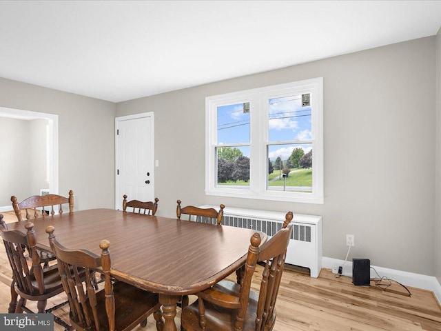 dining space with radiator heating unit and light hardwood / wood-style flooring