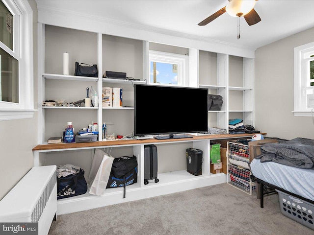 carpeted office space featuring ceiling fan