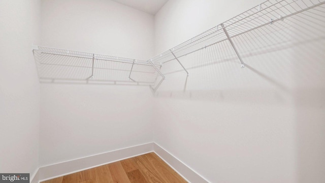 spacious closet featuring hardwood / wood-style flooring