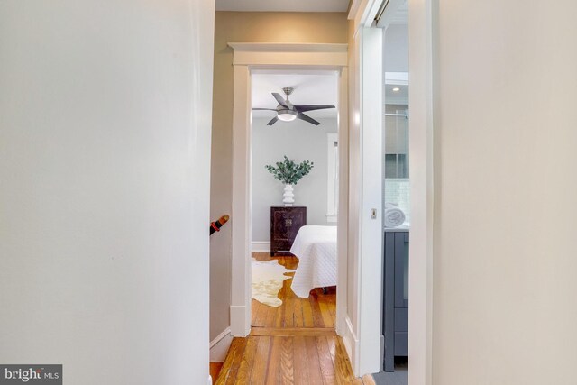 bedroom featuring ceiling fan, multiple closets, and wood-type flooring