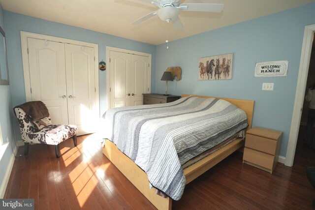 bedroom with multiple closets, dark wood-type flooring, and ceiling fan