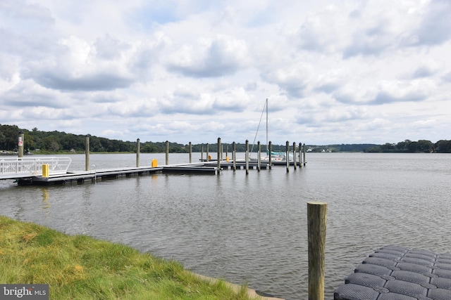 dock area featuring a water view