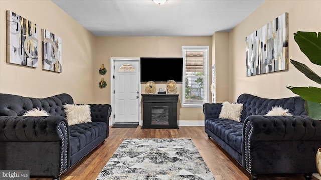 living room featuring wood-type flooring