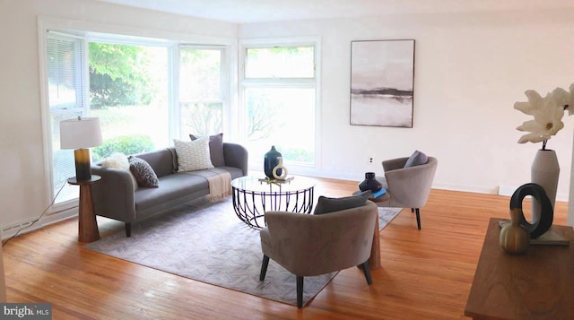 living room featuring hardwood / wood-style flooring