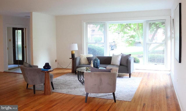 living room featuring light hardwood / wood-style flooring