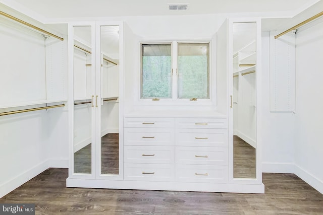 spacious closet featuring dark wood-type flooring