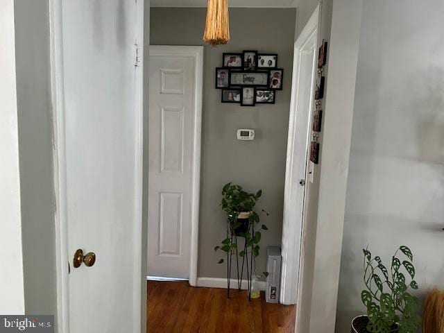 hallway with dark hardwood / wood-style floors