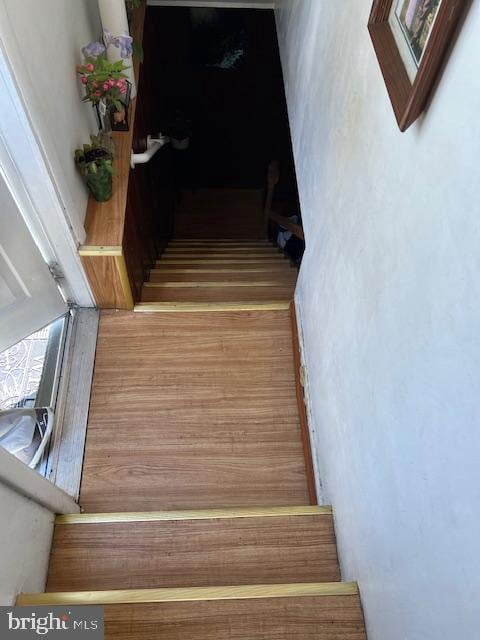 staircase with wood-type flooring