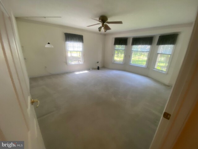 empty room featuring carpet and a ceiling fan