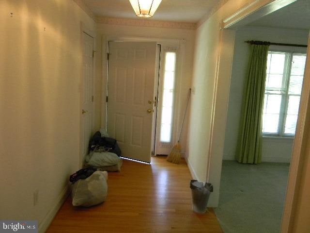 foyer entrance with wood-type flooring