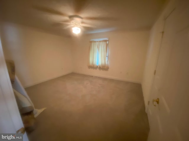 spare room with carpet flooring