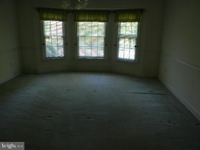 spare room featuring carpet flooring