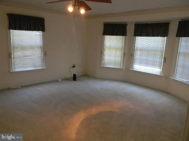 carpeted spare room with ceiling fan