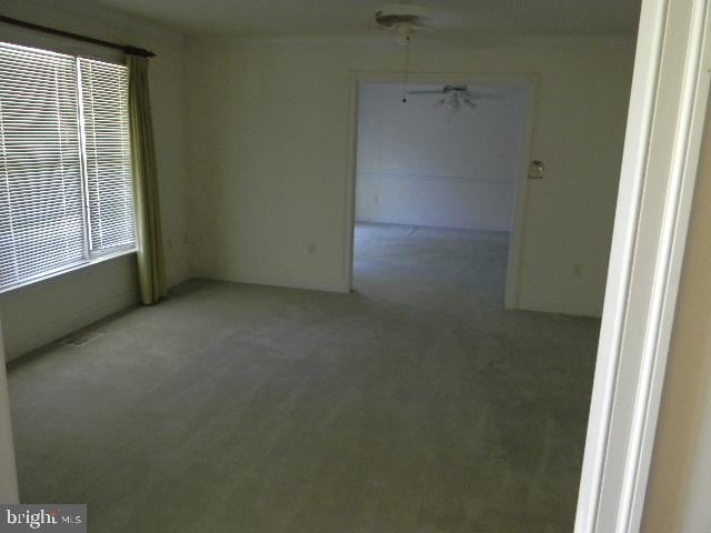 unfurnished room featuring light carpet