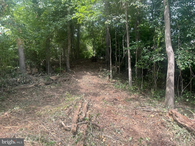 Listing photo 3 for LOT492 Sycamore Trl, Delta PA 17314