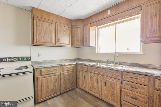 kitchen with light hardwood / wood-style floors, a drop ceiling, sink, and electric stove